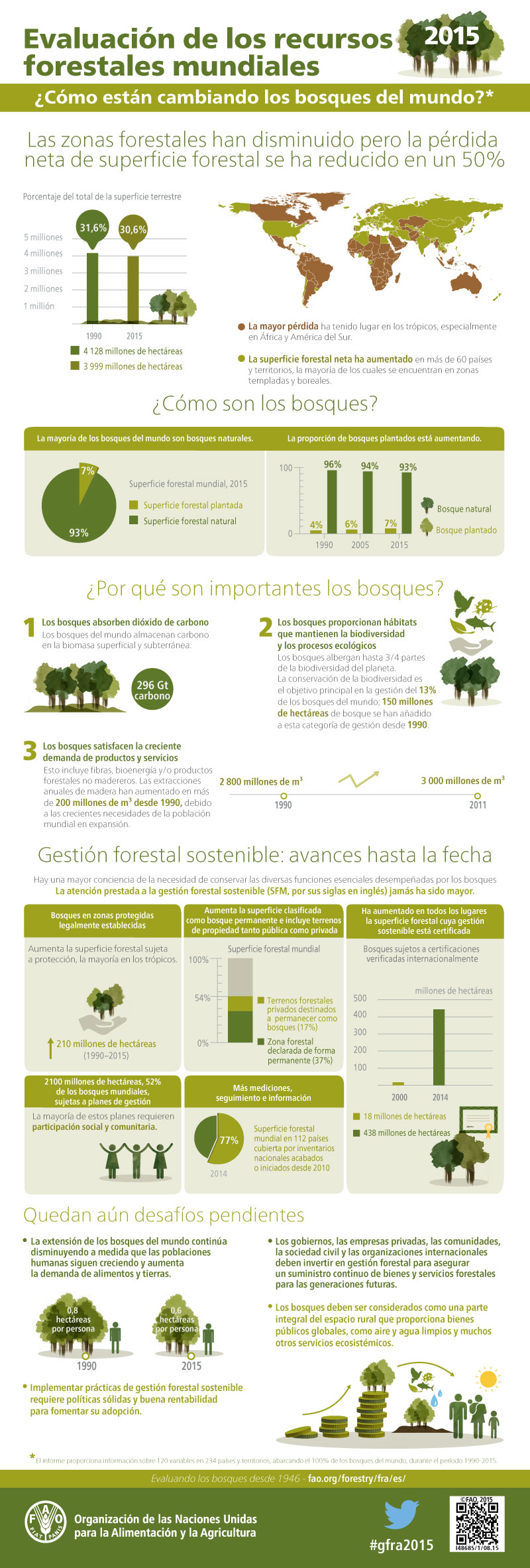 La deforestación se ralentiza a nivel mundial según la FAO, con más bosques mejor gestionados