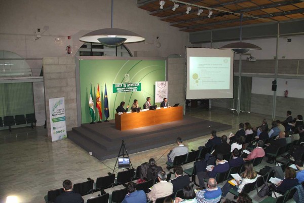 Gran éxito en el taller de Sevilla dedicado a biomasa agrícola y forestal en el marco del proyecto Agriforvalor