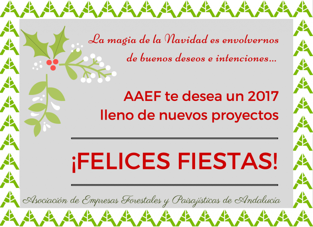 felicitacion-navidad-aaef-2016